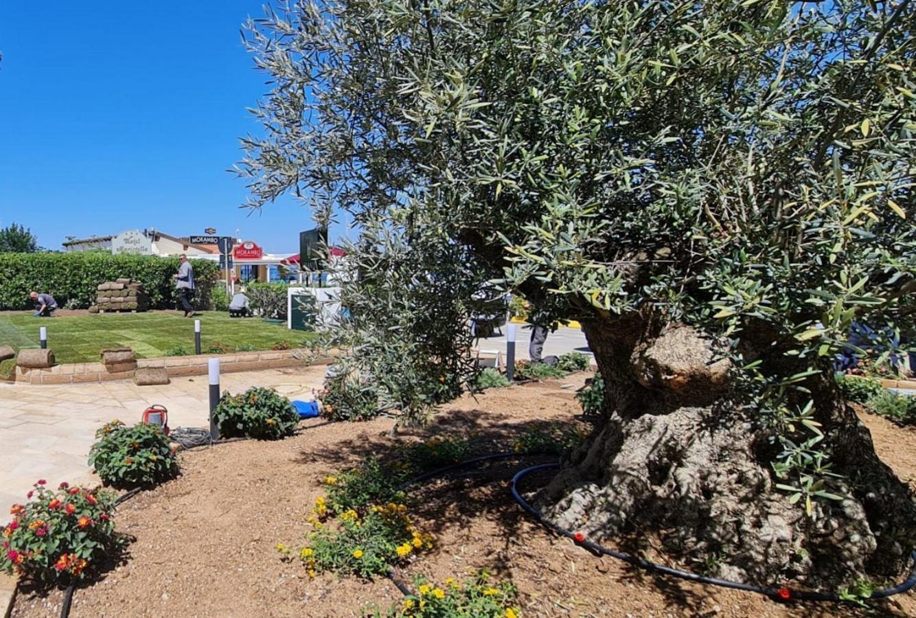 Hotel Levante - Isola D'Elba กาโว ภายนอก รูปภาพ